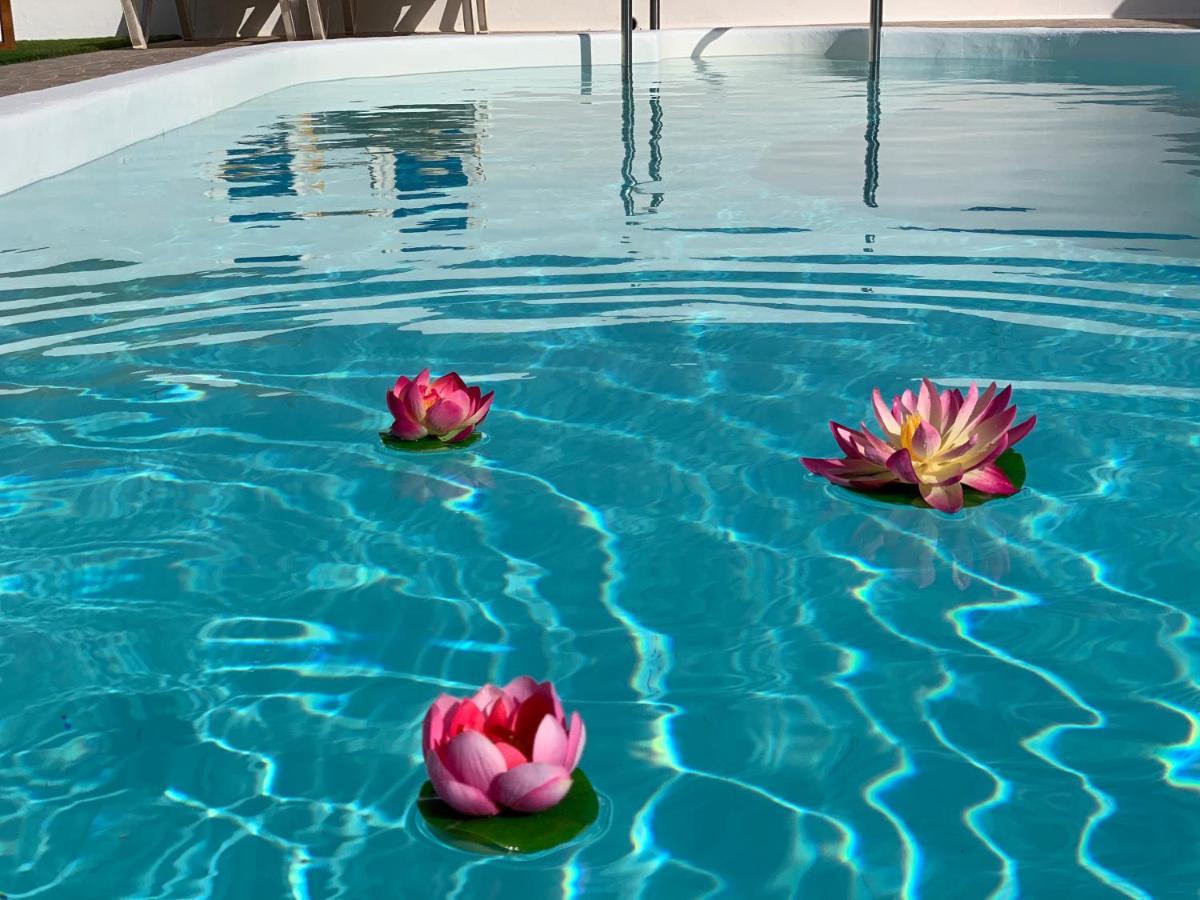 Tinguaton Pico Partido Villa Heated Pool מראה חיצוני תמונה